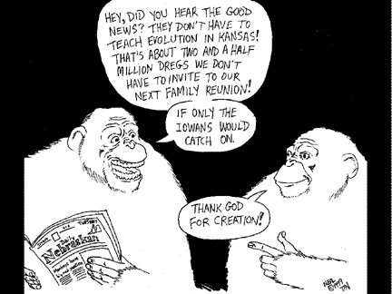 apes monkeys creation creationism evolution