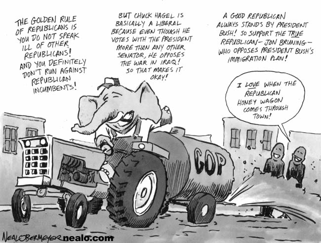jon bruning chuck hagel republican