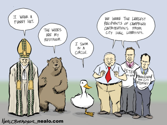 pope wears a funny hat bear poops in the woods one legged duck swims in a circle scott peters jerry sanders brian maienschein campaign contributions city hall lobbyists